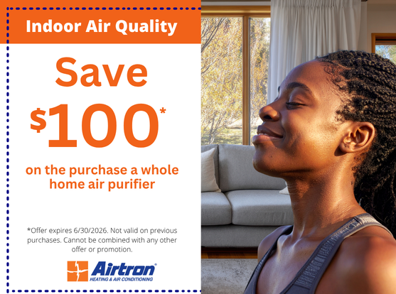 For cleaner indoor air, Airtron offers a variety of whole home air purifiers