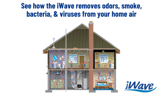 iWave air purifier eliminates smoke, odors, bacteria, and viruses from your home air