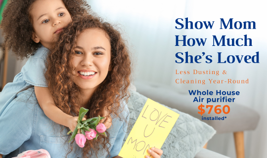 Mother's day special less dusting and cleaning with whole house air purifier