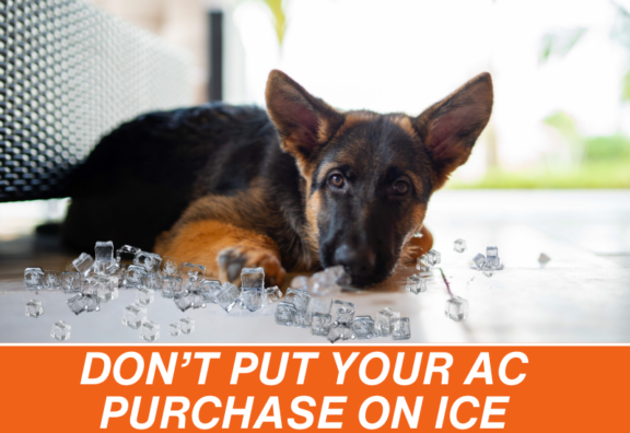 Dog cooling off on ice because house needs a new air conditioner
