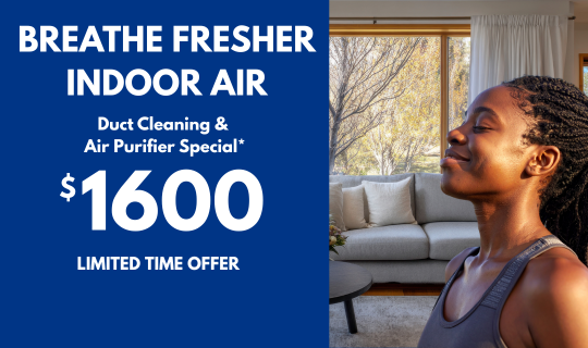 Duct cleaning and whole house purification for cleaner in home air